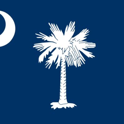 south carolina flag large Thumbnail