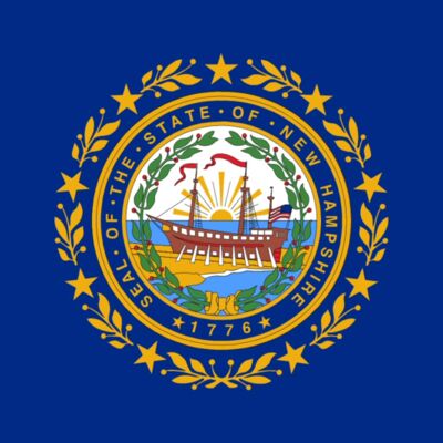 new hampshire flag large Thumbnail