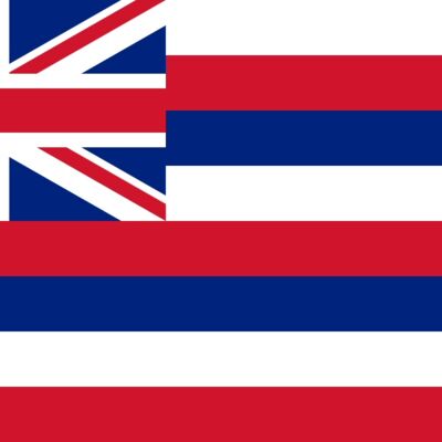 hawaii flag large Thumbnail