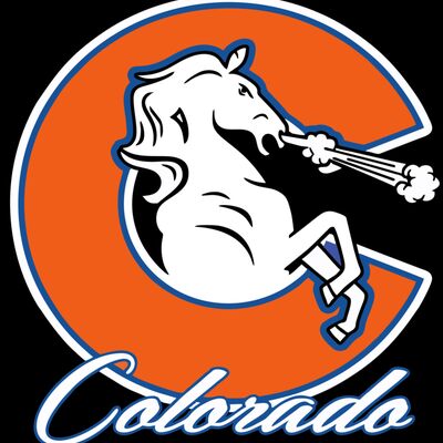 CO Bronco  Thumbnail